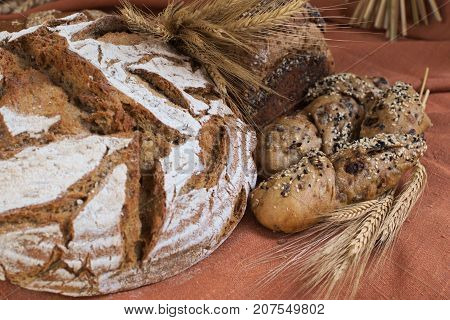 fresh bread and wheat for harvest festival