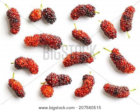 close up top view red and black mulberry fruit pattern on white background