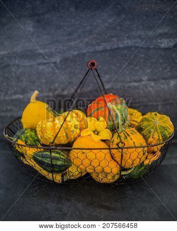Colorful pumpkins in old metal basket on the stone background.