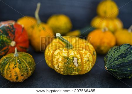 Autumn, colorful pumpkins on dark stone background.