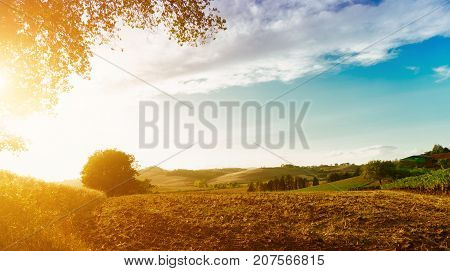 Classic view of scenic Tuscany landscape in beautiful golden morning light at sunrise in summer. Montalcino Italy
