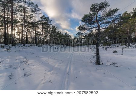 Cross-Country Skiing Track in Berefjell in Iveland, Norway. Snow, blue sky with clouds