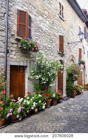 Frontino historic village in Montefeltro Pesaro Urbino Marches Italy). A street with the typical houses with plants and flowers
