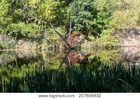 Autumn river landscape - a good screensaver for the gadget.