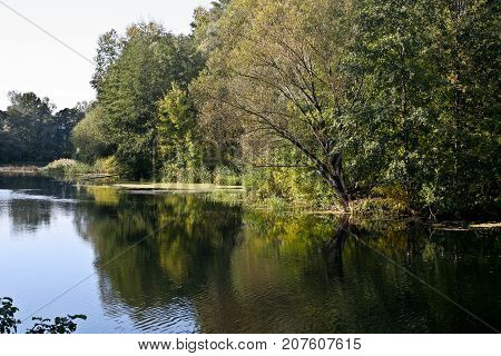 Autumn river landscape - a good screensaver for the gadget.