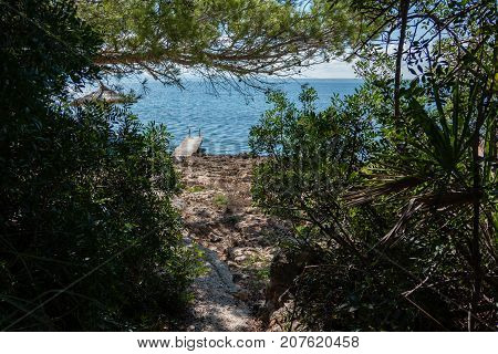 Holiday on the island of Mallorca, Spain