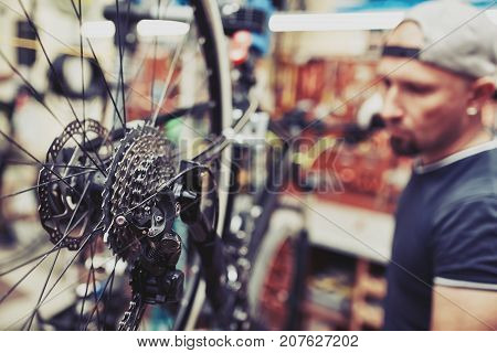 Mechanic repairing bicycle in his workshop. Bicycle service.
