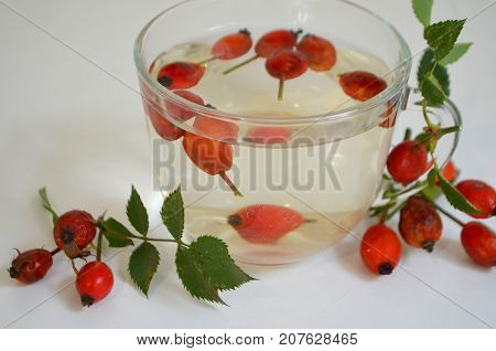 Decoction with dog rose in a cup Rosehip