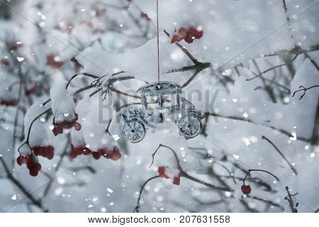 Viburnum red ripe berries on tree branches with snow in winter park
