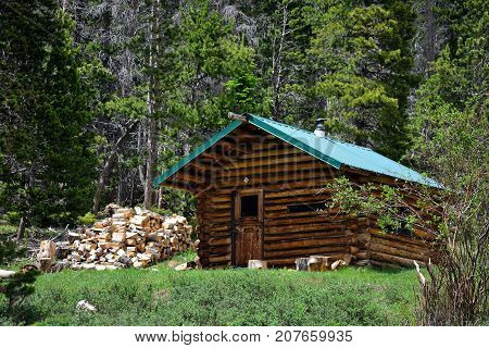 Log Cabin with a Green Metal Roof with a Wood Pile in a Pine Woods Forest on a Sunny Day