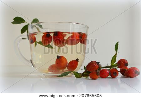 Decoction with dog rose in a cup Rosehip