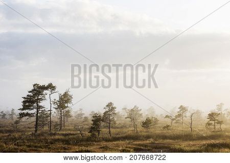 The sun Latvia.Dunikas swamp and mist rises