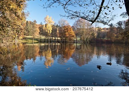 pond with colorful trees and meadow on the background in Stadtpark garden in Plauen city in Germany during autumn morning with clear sky