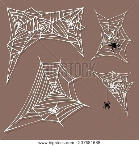 Spider web silhouette arachnid fear graphic flat scary animal poisonous design nature phobia insect danger horror tarantula halloween vector icon. Creepy warning symbol poison silhouette.