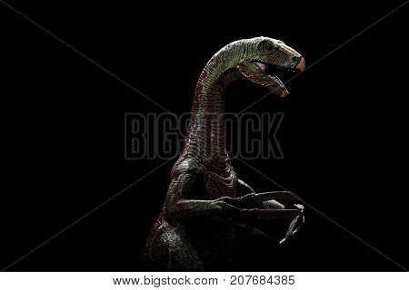 nothronychus toys upper part on a dark background