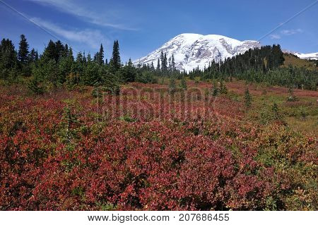 Mount Rainier National Park, highest mountain in the U.S. state of Washington, Seattle