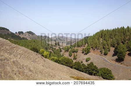 Gran Canaria, Dry Hills
