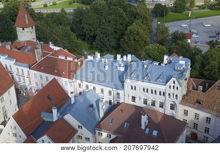 Tallinn, View From St Olav's Church Tower