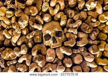 Skulls and bones from the charnel house