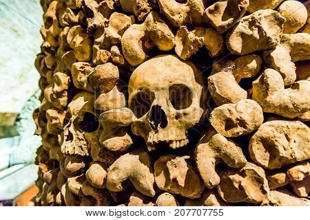 Skulls and bones from the charnel house