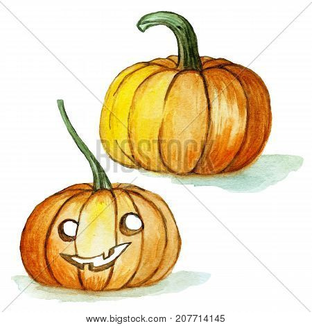 watercolor drawing set, orange pumpkins for halloween on white background, for decoration, illustration