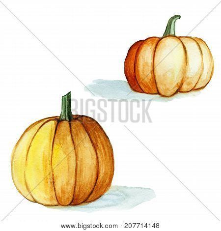 watercolor drawing set, orange pumpkins for halloween on white background, for decoration, illustration