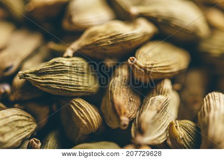Green Cardamom Pods Macro Background. Selective focus.
