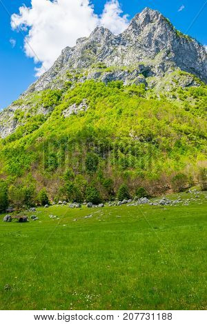 Scenic Green Meadow On The Background Of High Peaked Rocks.