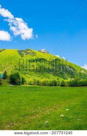 Scenic Green Meadow On The Background Of High Peaked Rocks.