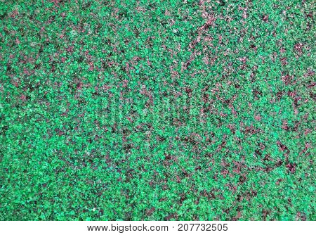 Photo of green crystals background texture. Micro crystals