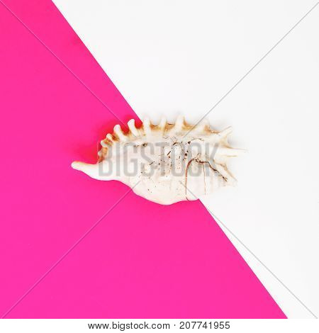 Minimal Style. Flat Lay. A Minimalistic Fashion Photo. Pop Art. A Colorful Simple Photograph Of Sea