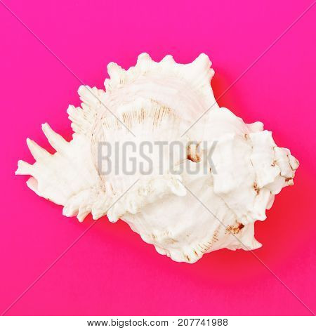 Minimal Style. Flat Lay. A Minimalistic Fashion Photo. Pop Art. A Colorful Simple Photograph Of Sea