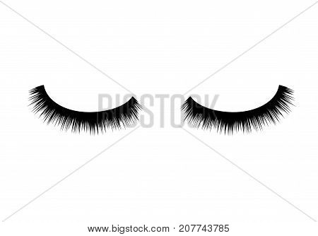 Eyelashes vector beauty makeup. Long eye fashion. Female eyelashes glamour.