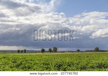picture of a clouded sky in rural agricultural ambiance