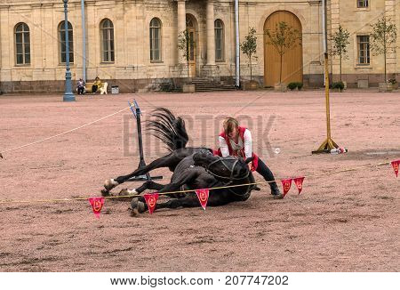 Gatchina St. Petersburg Russia - September 30 2017: Horse show of Cossacks on the parade ground of the Gatchina Palace. The young Cossack team put the horse on its side.