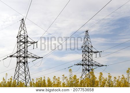 Two Electric Poles Of High-voltage Lines Installed In A Field With Flowering Rapeseed. A Blue Sky Wi