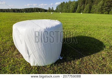 Plastic Stack With Packed Grass For Feeding Animals In The Winter Season. Photo Landscape With Blue 