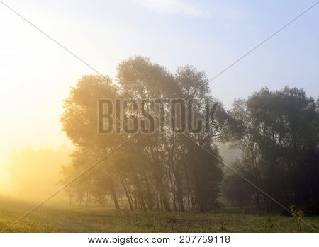 Yellow Light Of The Sun, Shining On The Trees On The Left During Sunrise. Summer Landscape In The Mo