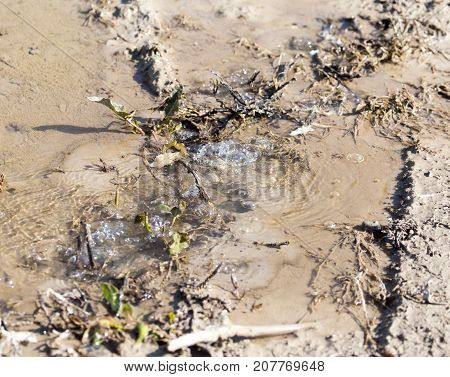 water bubbling out of the ground . In the park in nature