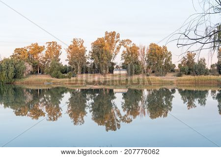 Trees on Die Eiland (the island) reflected at sunset on the Orange River at Upington a town in the Northern Cape Province of South Africa