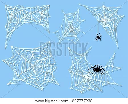 Spider web silhouette arachnid fear graphic flat scary animal poisonous design nature phobia insect danger horror tarantula halloween vector icon. Creepy warning symbol poison silhouette.