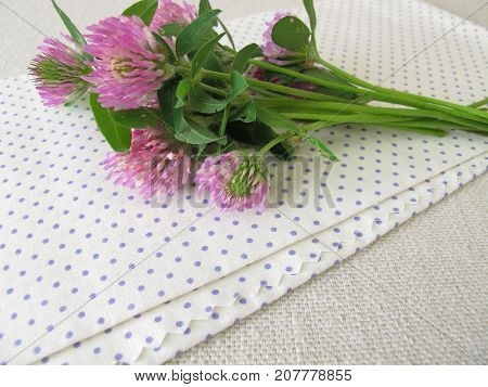 Bouquet of wild herbs red clover with flowers