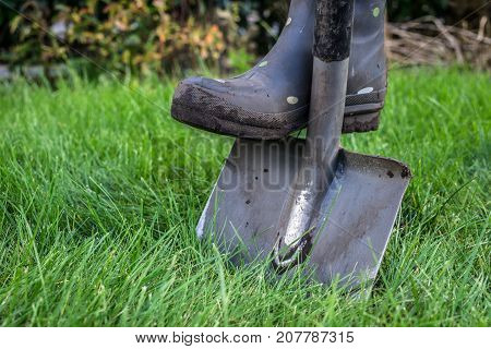 spades and rubber boots in the garden with green grass