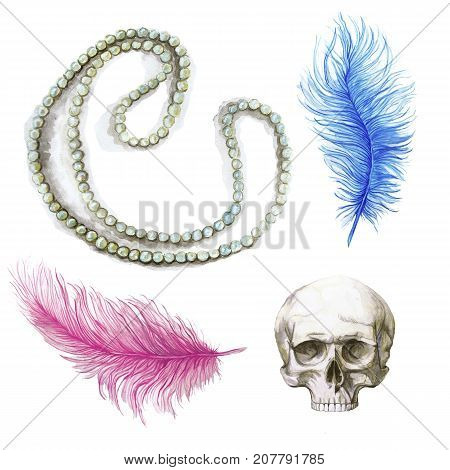 Watercolor drawing, feathers, blue feather, pink feather, human skull, for halloween, composite drawing, ostrich feathers on white background, for graphics and decor