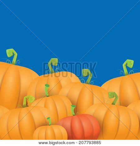 autumn vector orange pumpkins border design template for banners and thanksgiving day backgrounds. vector Pile of pumpkins frame isolated on isolated on blue background