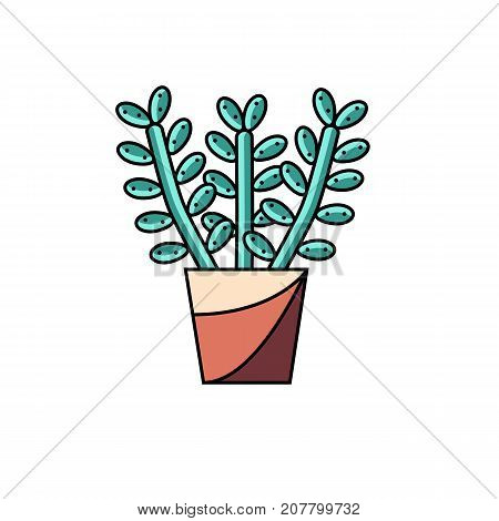 House lucky plant flat line vector icon on isolated white background. Stylized illustration of money tree in pot. Potted succulent image.