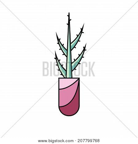 Aloe vera plant flat line icon. Vector illustration of potted succulent on white isolated background.