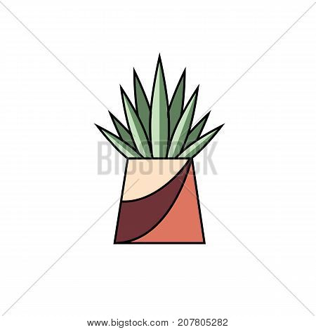 Potted succulent on white isolated background. House plant with sword shaped leaves in line flat style. Vector illustration of indoor flower in pot for interior design concepts.