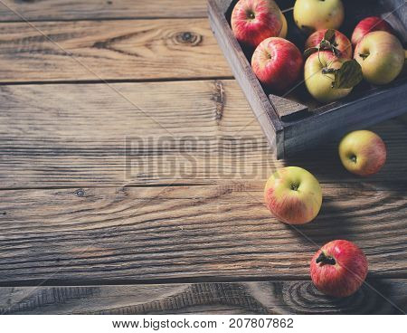 Box with ripe apples and cinnamom on wooden background. Copy space