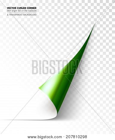 Vector realistic curled corner with bright reflection foil on the backside and shadow. Transparent background realistic vector illustration.